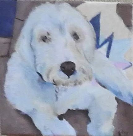 Alfie