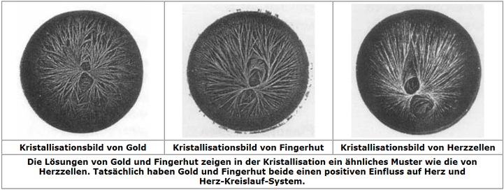 Kristallisationsbilder