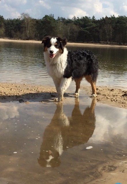 Jewel 1 jaar oud