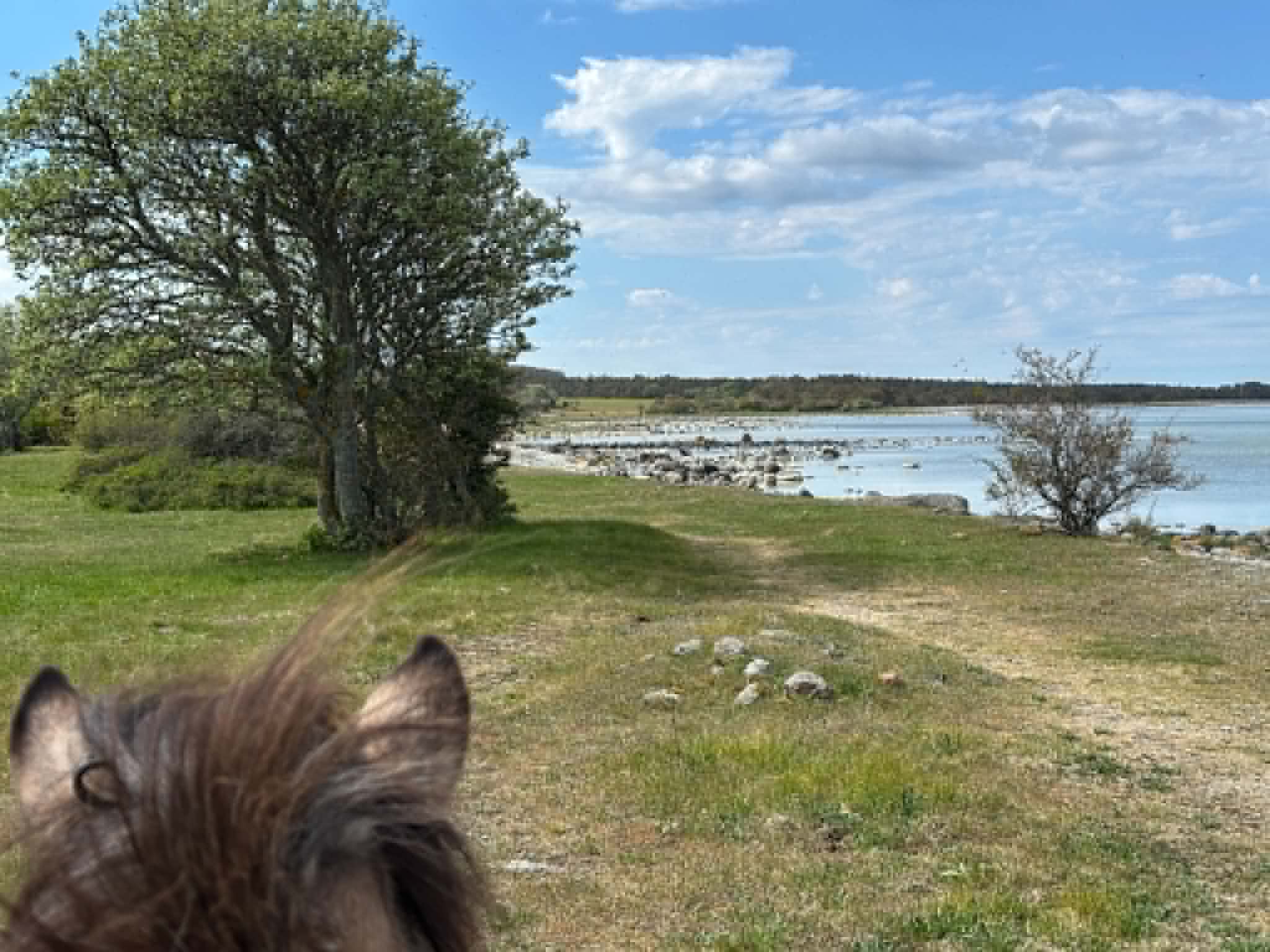 Längs kusten vid Harudden