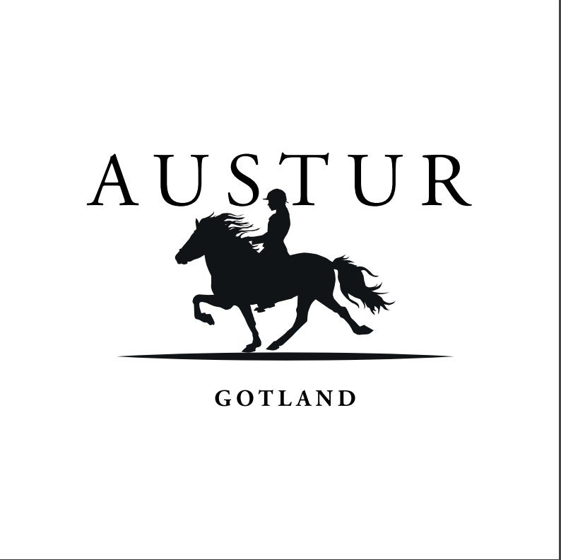 NY MEDLEM | Islandshästföreningen Austur