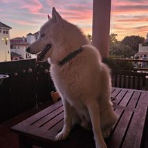 Ares
