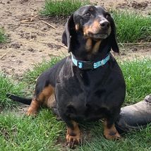 Hugo