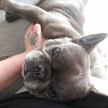 Lili