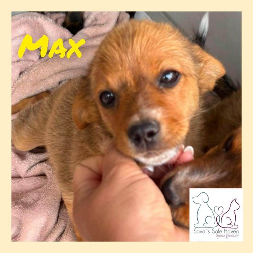 Max