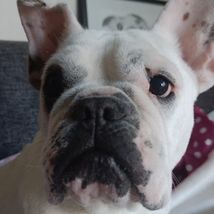 Mimi