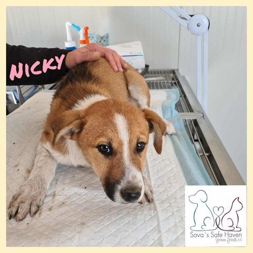 Nicky