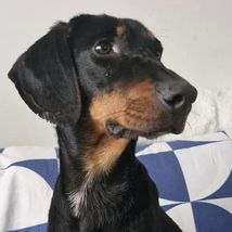 Pluto