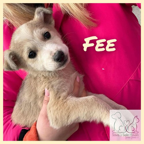 Fee