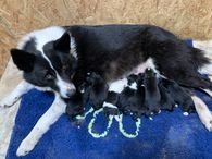 Mommy & Babies