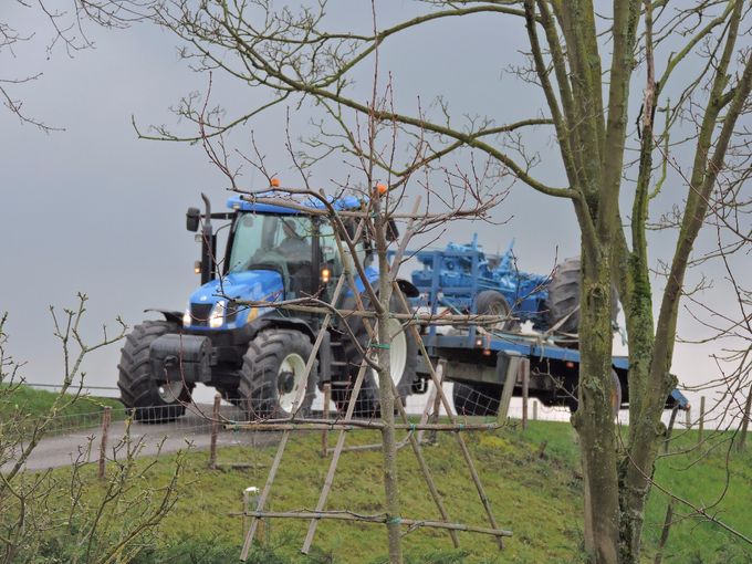 Nog net droog overgekomen voordat de regen zich aankondigde.