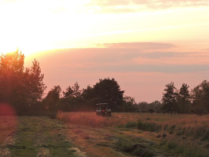 23-5-2018:Nog laat aan het maaien want het zal de volgende dag allemaal weer worden opgeladen de eerste keer van het jaar en dat was vroeg door de goede weersomstandigheden stond het al zo hoog ben benieuwd hoeveel rollen er weggaan.