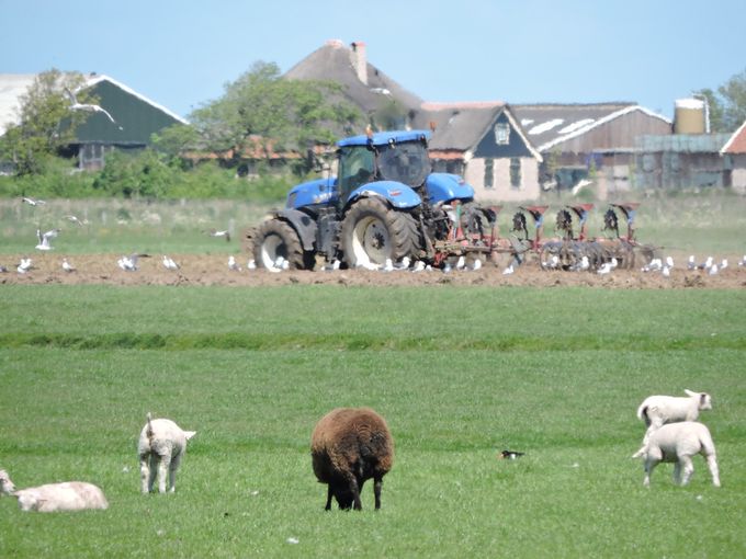 Prachtig....en dat was Texel...