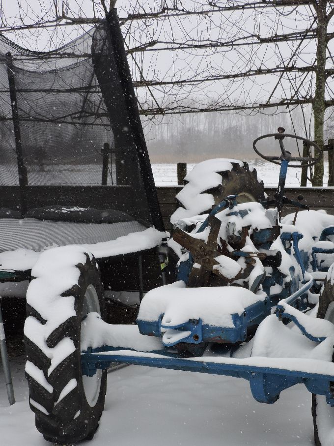 2021-02-20: En toen hadden we toch nog sneeuw...