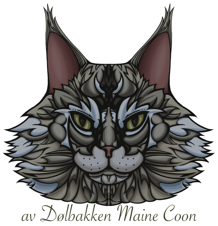 av Dølbakken Maine Coon 