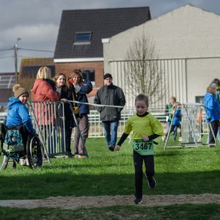 Veldloop Beveren-Leie