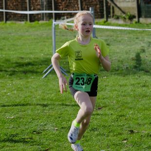Veldloop Beveren-Leie
