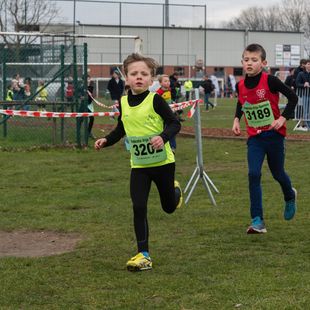 Veldloop Harelbeke