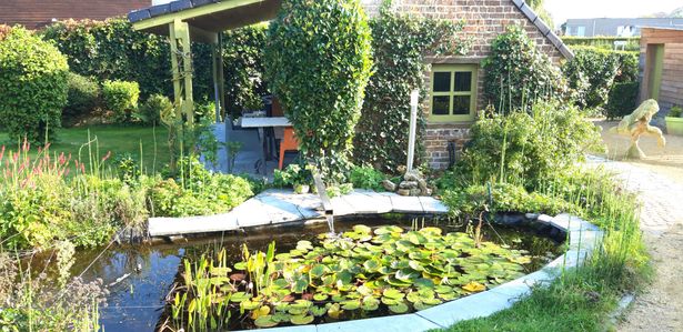 tuin