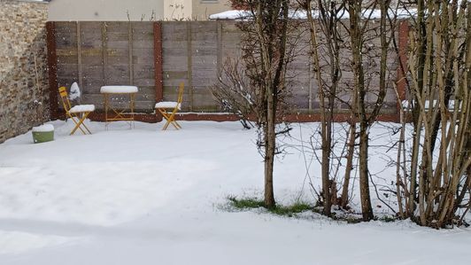 tuin
