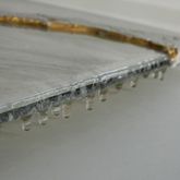 FLUXUS AUREUS