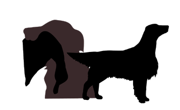 B-Flat Kennel i Gävle