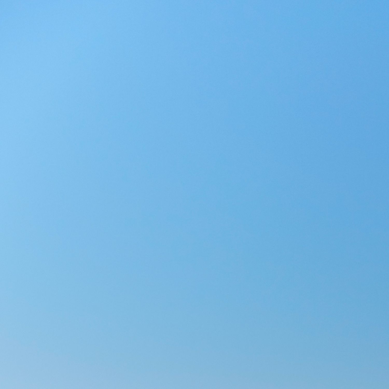 shutterstock_515994907