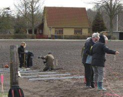 Der opstilles stolper