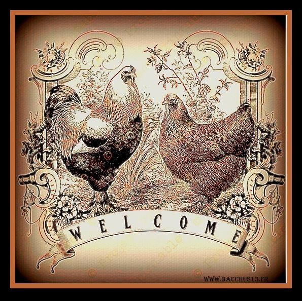  Welcome  on this web site !