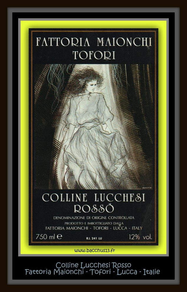 - Colline Lucchesi Rosso - doc - de la Fattoria Maionchi - Tofori - Lucca - Italie - 