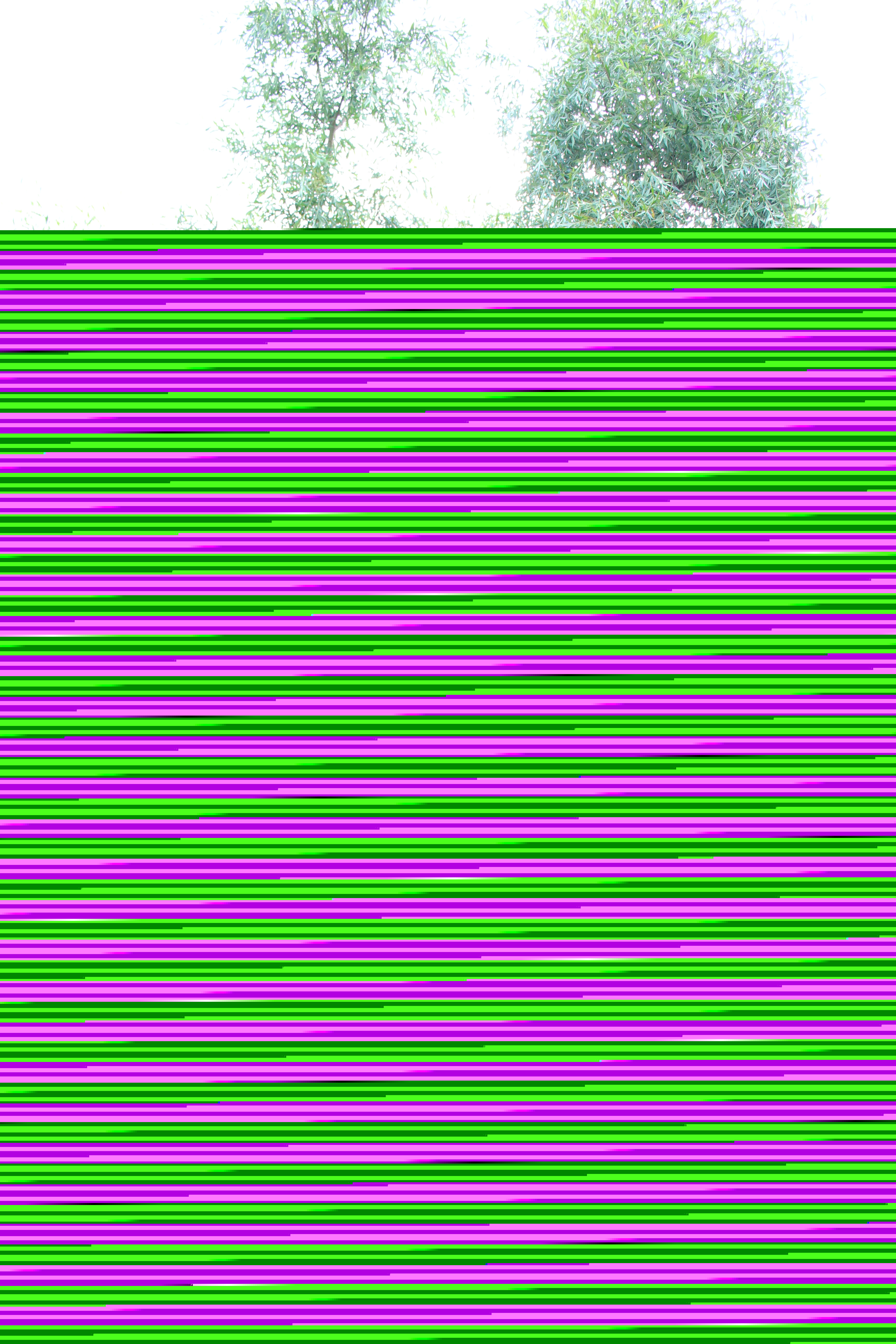 Tree House B&B - Falster, Denmark