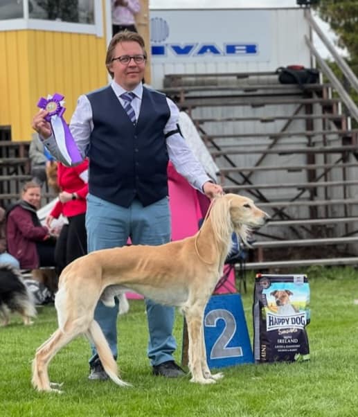 BIS 2 Veteran SE UCH Badavie Alessio, Sjulsnäs july 2023