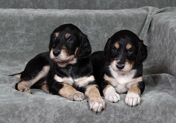 4 weeks