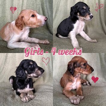 4 weeks