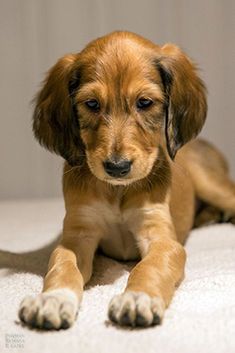 7 weeks