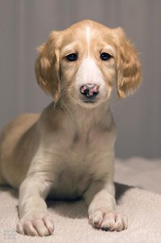 7 weeks