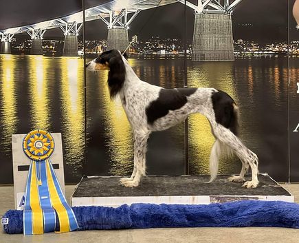 2022 Sundsvall