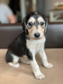 4 weeks