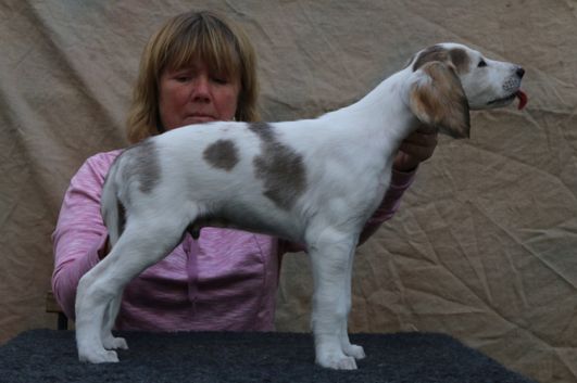 7 weeks