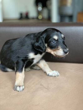 4 weeks