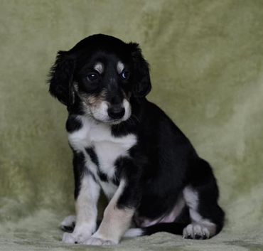 4 weeks
