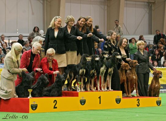 worlddogshow