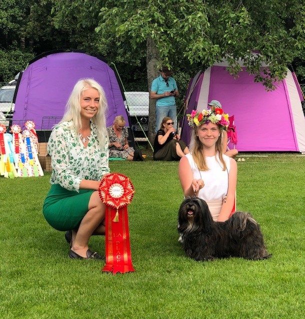 Emme vinnare Junior Handling SDHK Borås, domare Lotten Rönquist