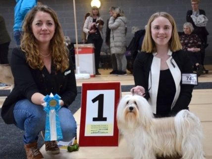 Emme o Hugo vinnare i Junior Handlingen åldersgrupp 10-13 år!  Domare Pernilla Sandström