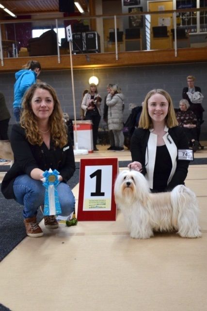 Emme o Hugo vinnare i Junior Handling åldersgrupp 10-13 år!  :-)  Domare Pernilla Sandström