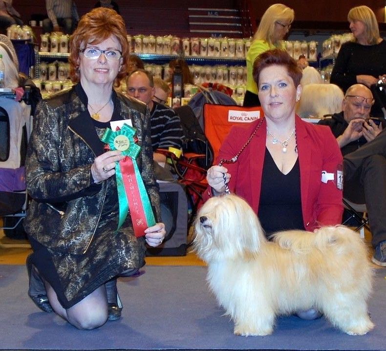 Henriette o Zigge som blev Svensk Champion i Växjö 2015. Domare Kitty Sjong.