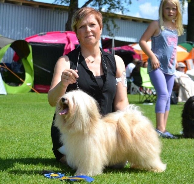 Henriette o Zigge tog CERT i Tvååker 2015. Domare Kerstin Nilsson.