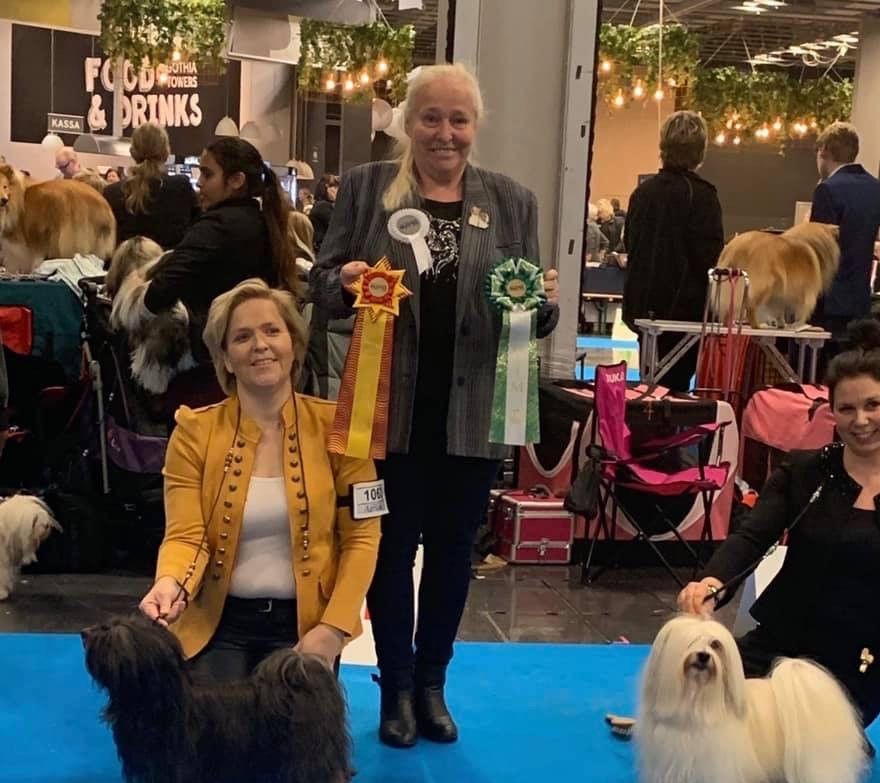 Anya My Dog 2019, BIR, CERT, CACIB, Cruft Kvalificerad samt Svensk CHAMPION! Domare Malgorza Supronowicz.