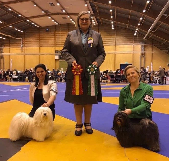 Henriette o Anya BIM med CERT o CACIB i Växjö 2019. Domare Wera Hübenthal.
