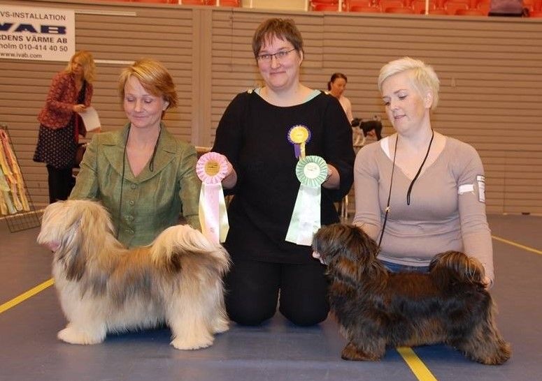 Henriette o Anya BIM valp i Hässleholm 2014. Domare Marie Callert.